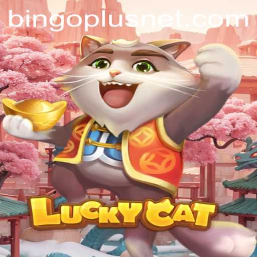 Exploring LuckyCat: A New Era in Gaming with Bingoplus